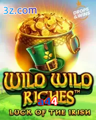 a44 wild wild riches pragmatic play